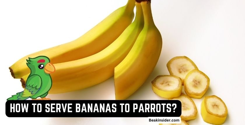 How Can You Serve Bananas to Parrots?