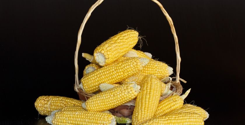 Raw Corn