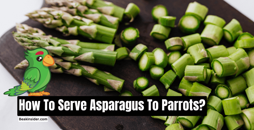 How To Serve Asparagus To Parrots?