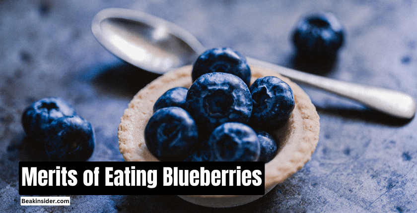 Merits Of Eating Blueberries