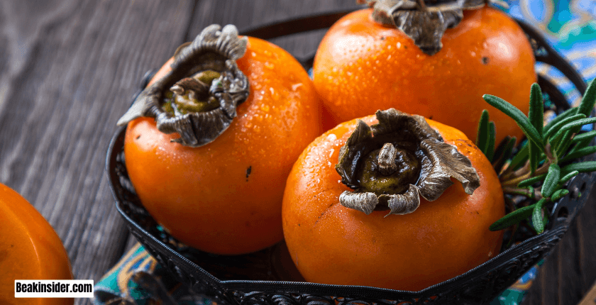 Can Parrot Species Eat Persimmon?