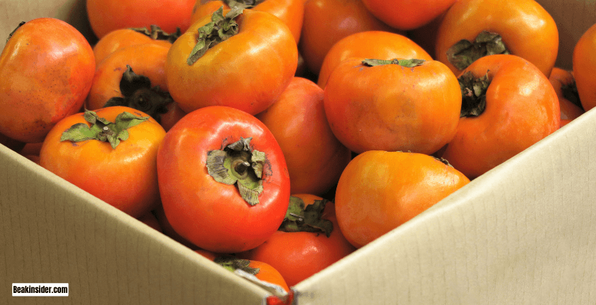 Merits of Eating Persimmon