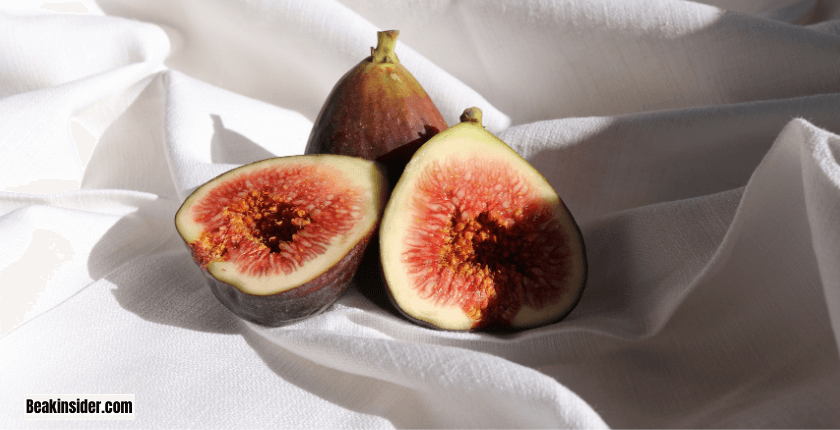 Can Parrots Eat Figs Flesh?