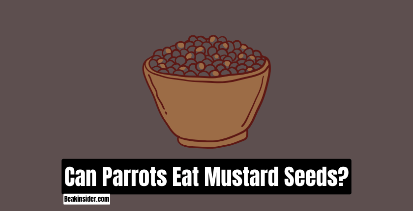 Can parrots eat mustard seeds?