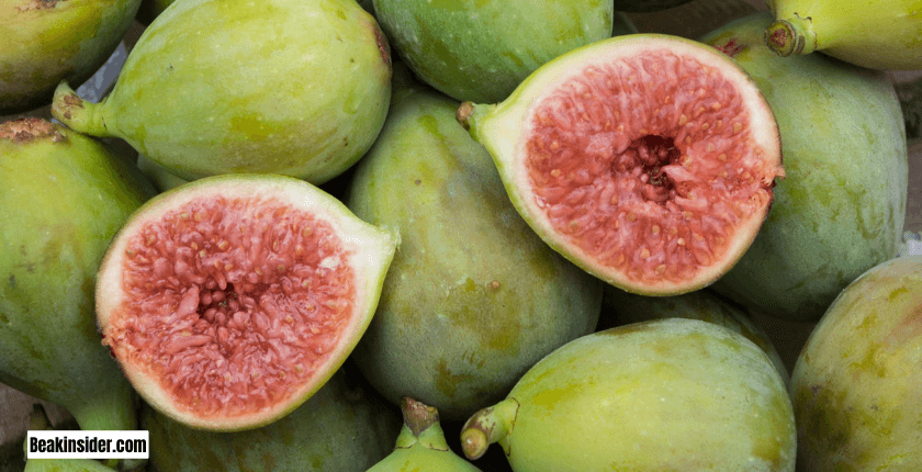 Can Parrots Eat Under Ripe Figs?