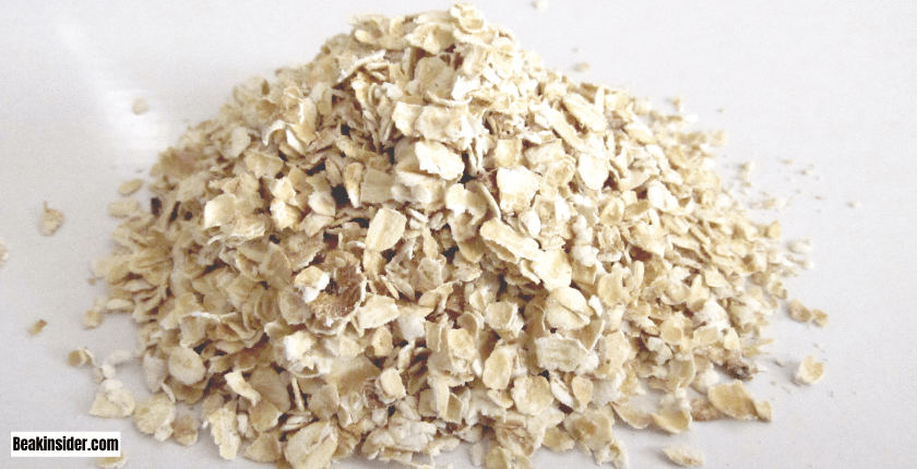 How to Serve Oats to Parrots?