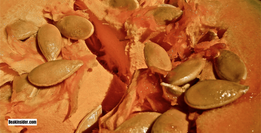 Raw VS Roasted Pumpkin Seeds