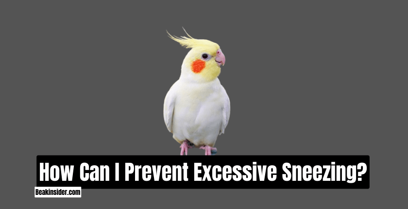 How Can I Prevent Excessive Sneezing?