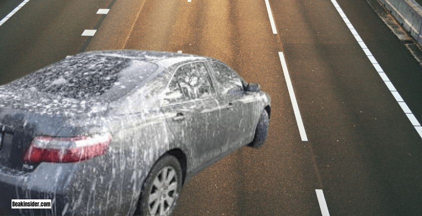 Tips for Protecting Car’s Surface From Bird’s Poop